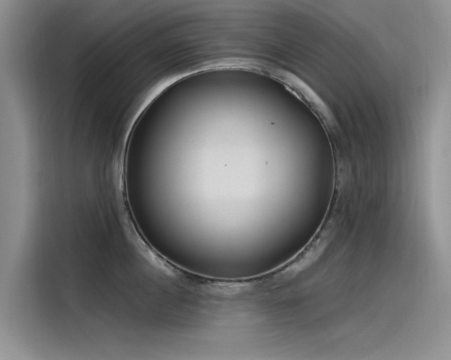 X0000115520860200911131444