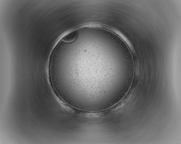 X0000115520861200911131444