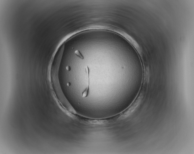 X0000115520862200911131444