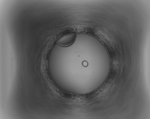 X0000115520865200911131443