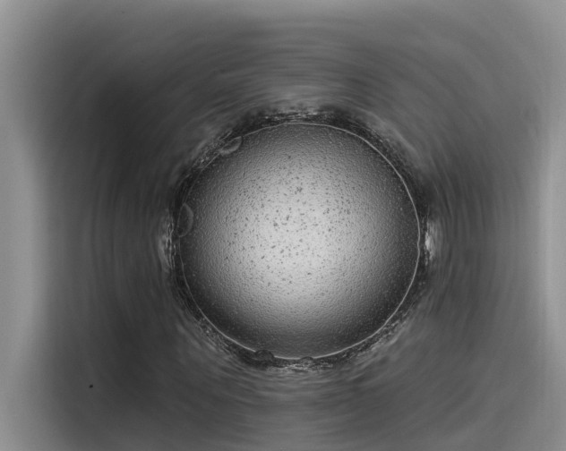 X0000115520867200911131443