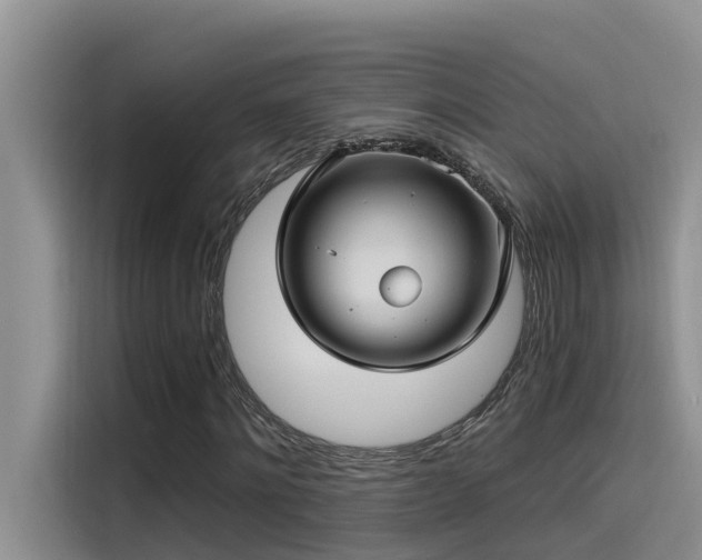 X0000115520868200911131443