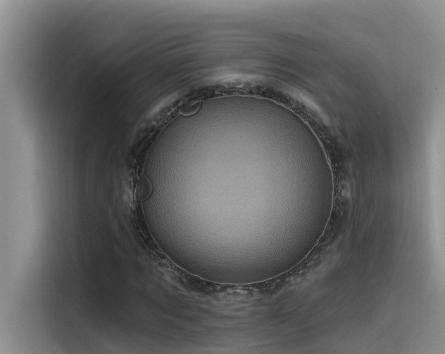 X0000115520869200911131443