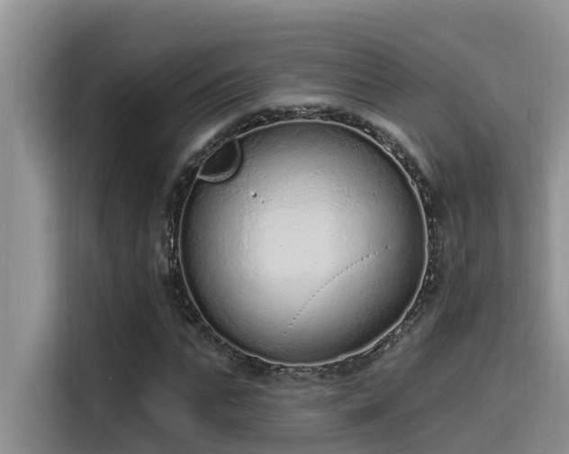 X0000115520871200911131443