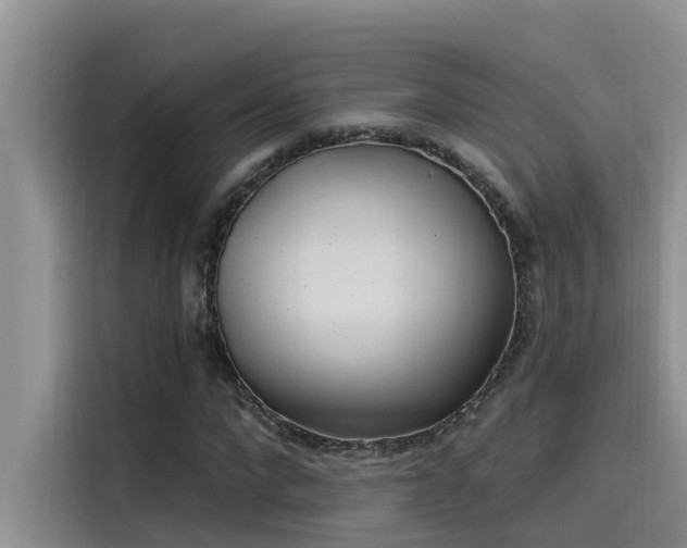 X0000115520872200911131443