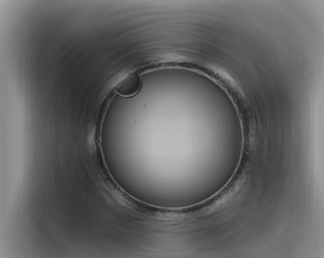 X0000115520873200911131443