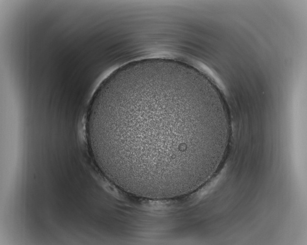 X0000115520875200911131443