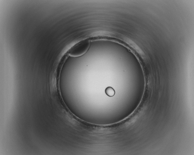 X0000115520877200911131443