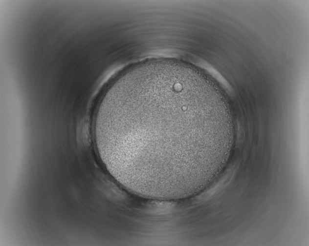 X0000115520878200911131443