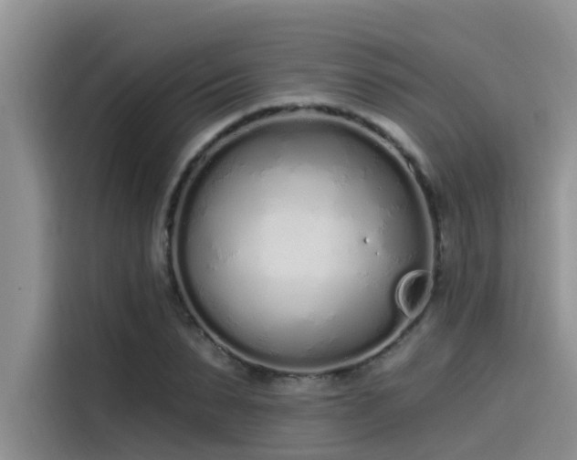 X0000115520879200911131443