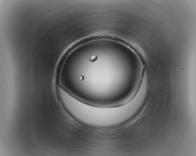 X0000115520880200911131443