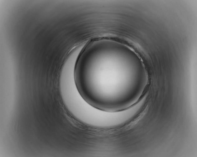 X0000115520881200911131443