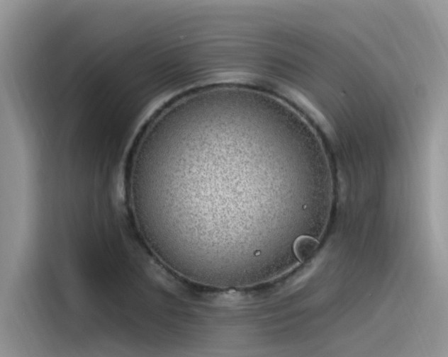 X0000115520883200911131443