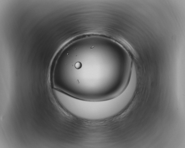 X0000115520884200911131443