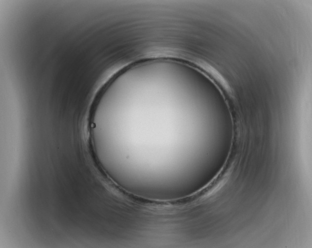 X0000115520885200911131443