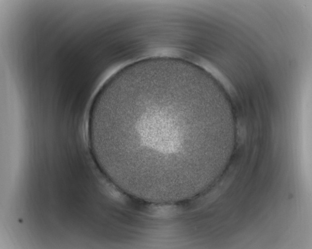 X0000115520886200911131443