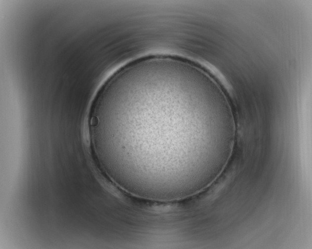 X0000115520887200911131443