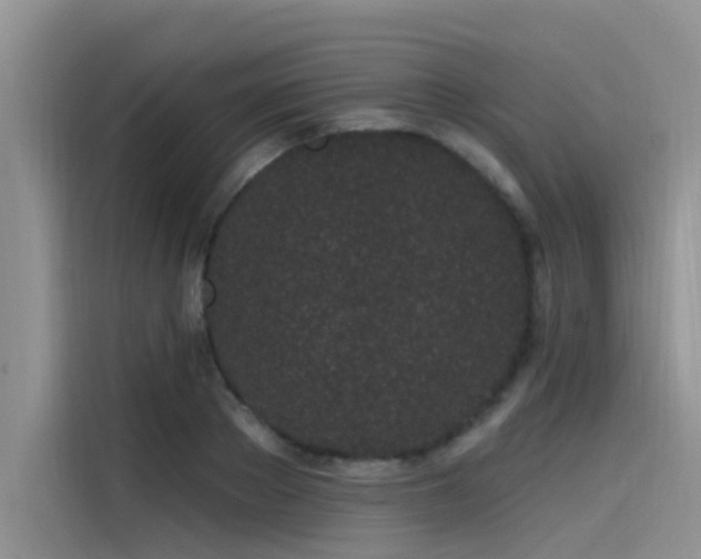 X0000115520889200911131443