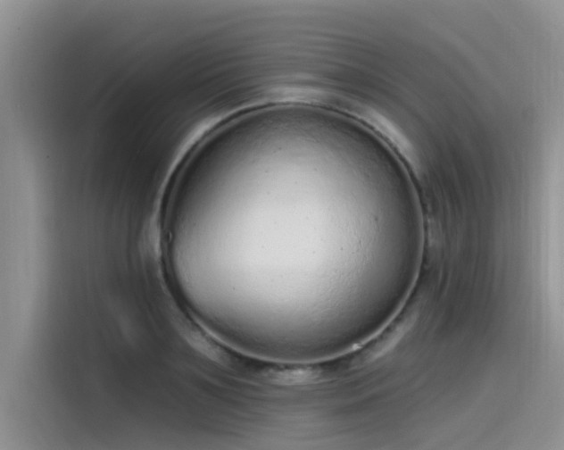 X0000115520891200911131443