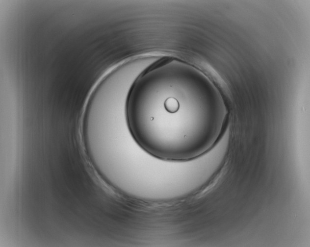 X0000115520892200911131443