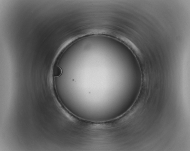 X0000115520894200911131443