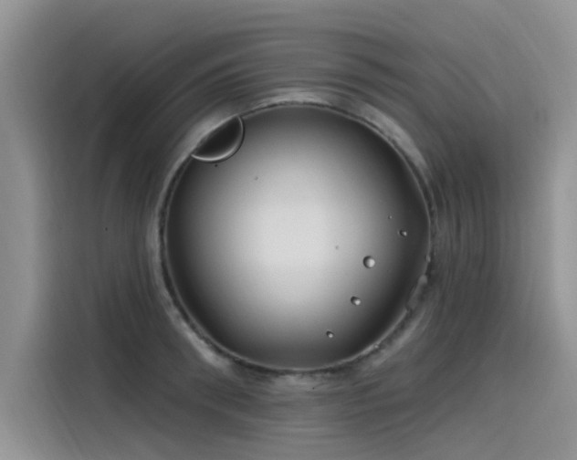 X0000115520898200911131443