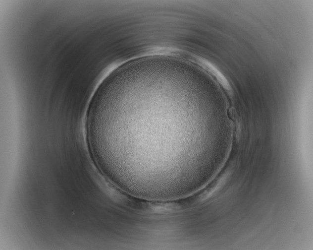 X0000115520899200911131443