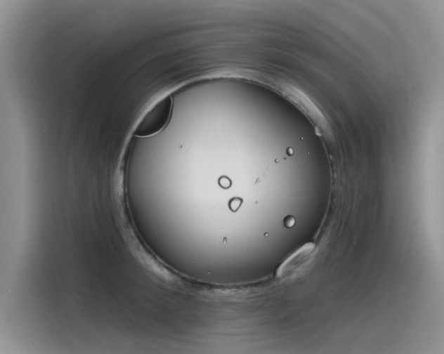 X0000115520900200911131443