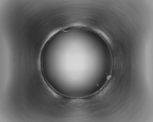 X0000115520902200911131443