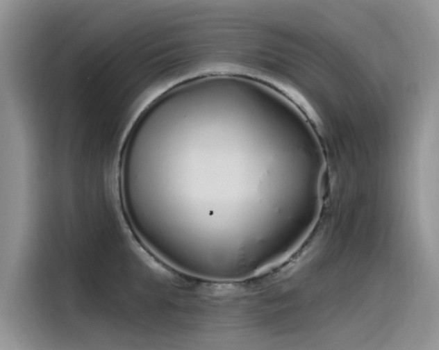 X0000115520903200911131443