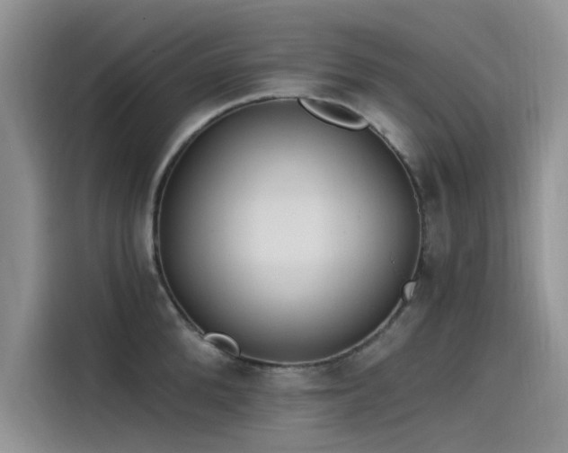 X0000115520904200911131443