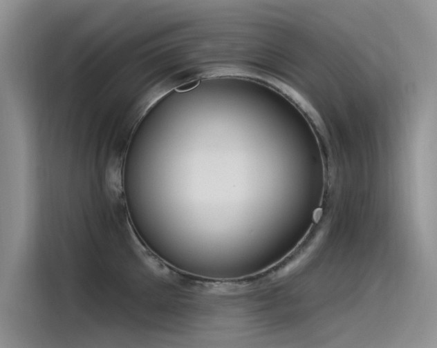 X0000115520905200911131443