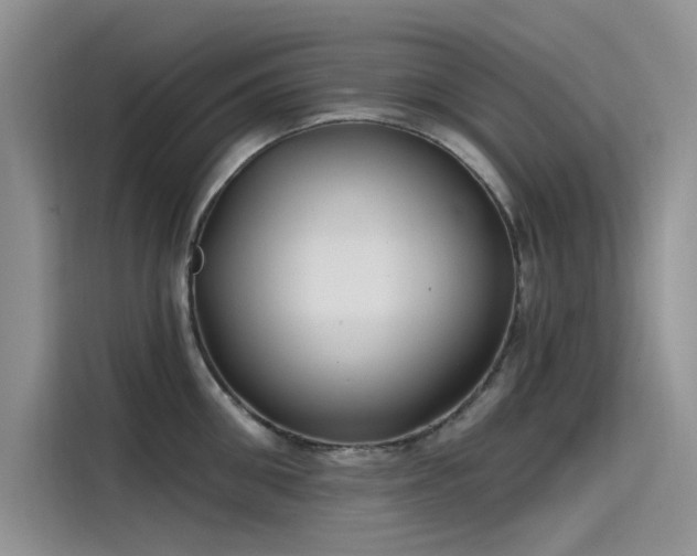 X0000115520906200911131443