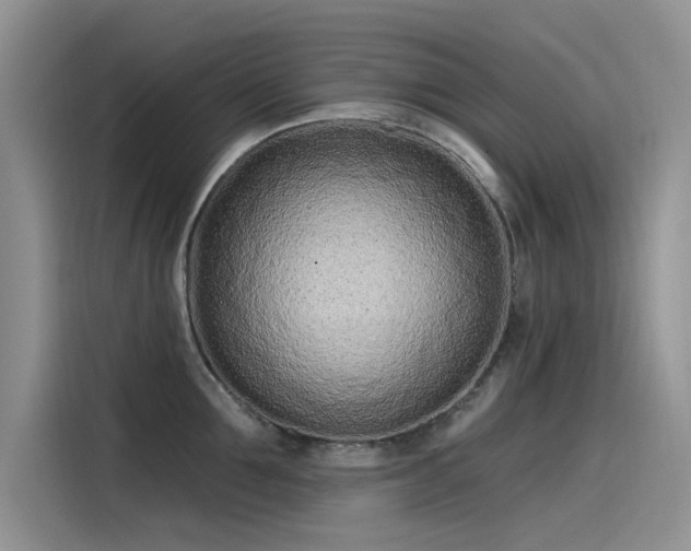 X0000115520907200911131443