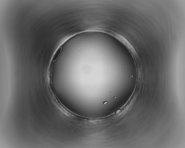 X0000115520908200911131443