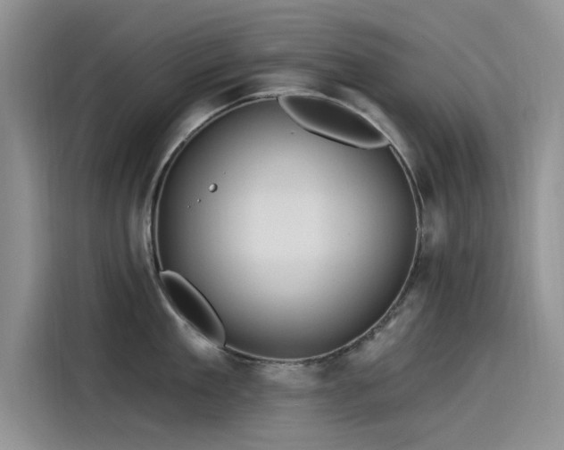 X0000115520909200911131443