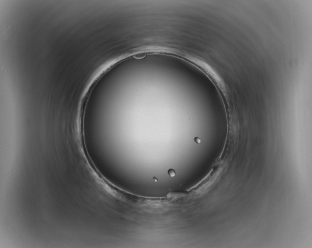 X0000115520910200911131443