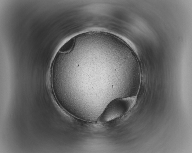 X0000115520911200911131443