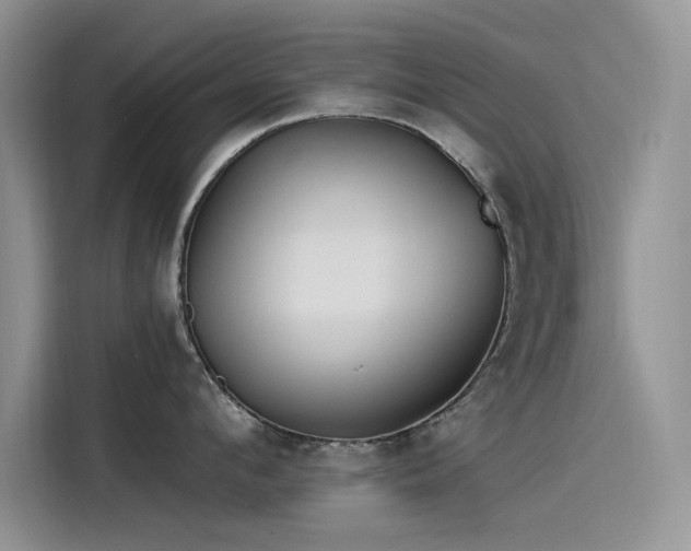 X0000115520912200911131443