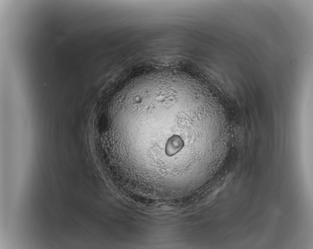 X0000115520913200911131442