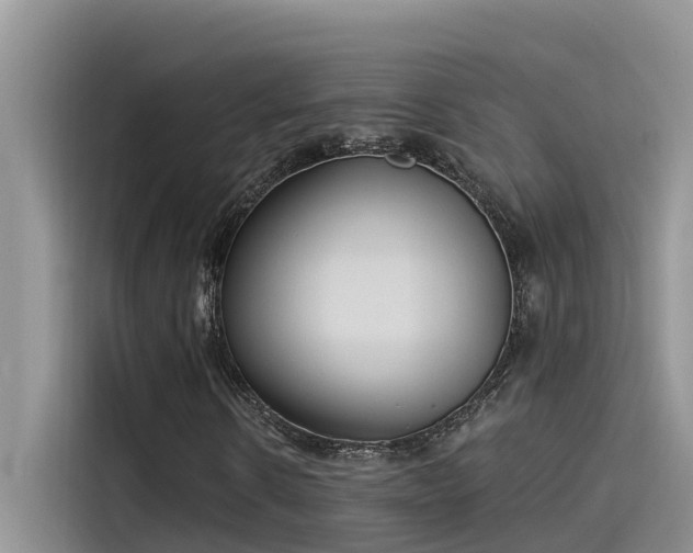 X0000115520914200911131442