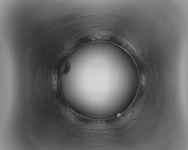 X0000115520915200911131442