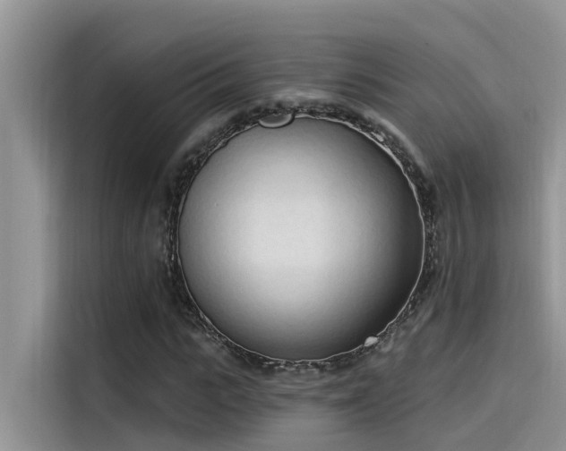 X0000115520919200911131442