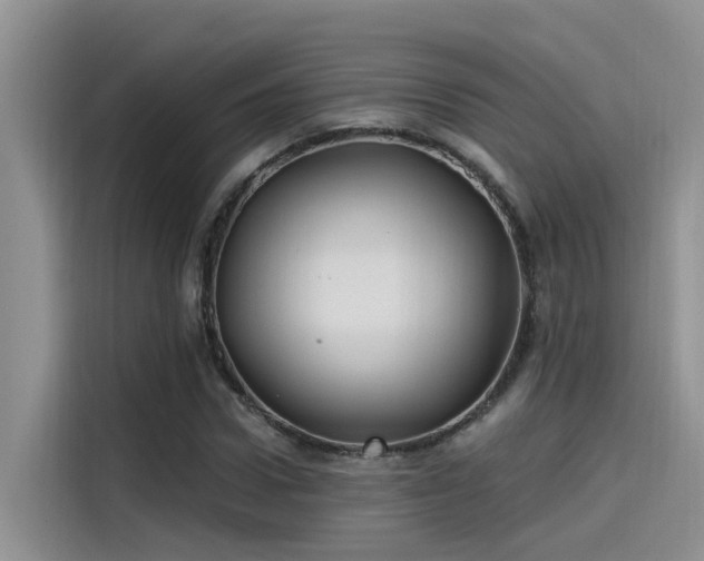 X0000115520922200911131442