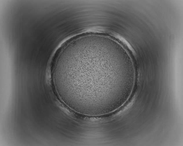 X0000115520923200911131442