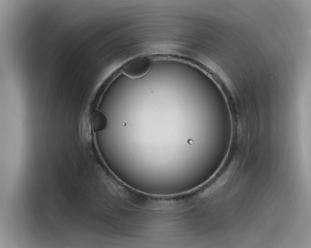 X0000115520925200911131442