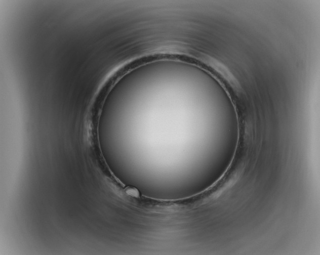 X0000115520926200911131442