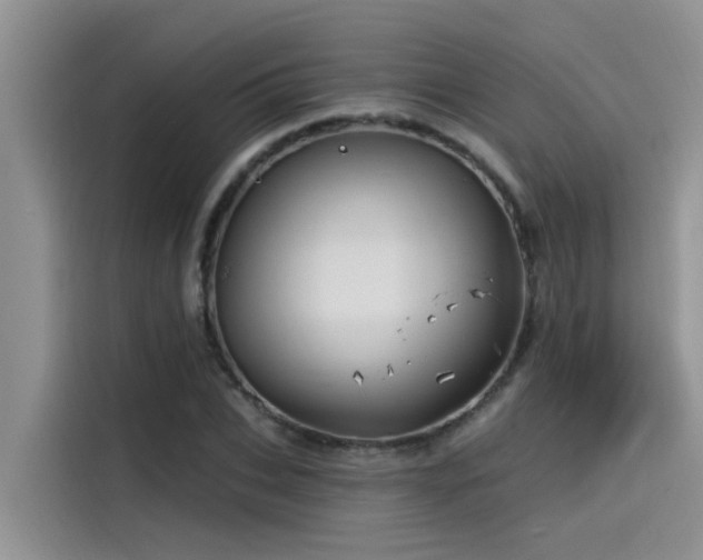 X0000115520927200911131442