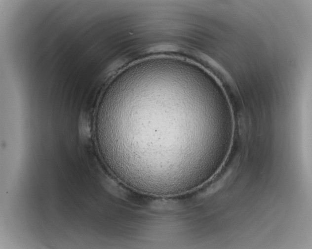 X0000115520929200911131442