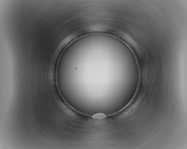 X0000115520930200911131442